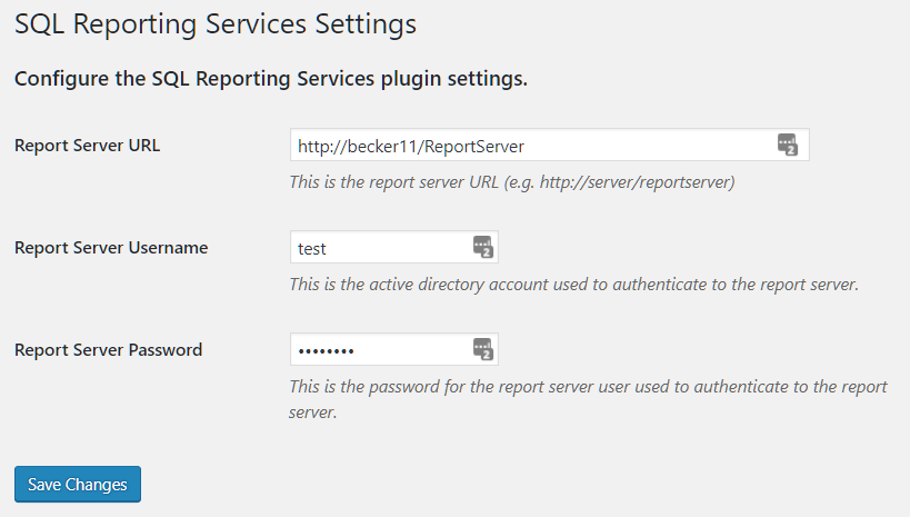 Register the report server